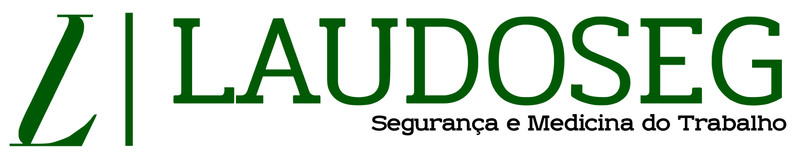 LaudoSeg - Logo